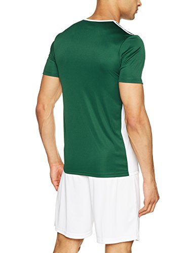 adidas Entrada 18 JSY T-Shirt, Hombre, Collegiate Green/White, M