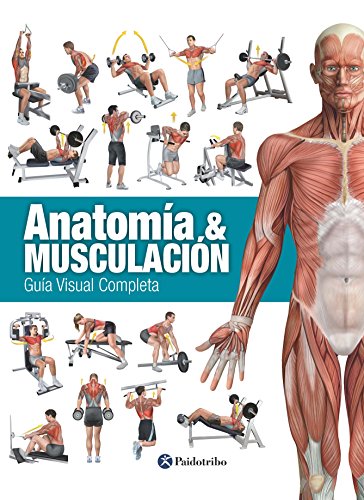 Anatomía & musculación: Guía visual completa