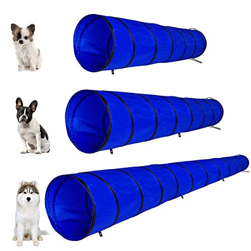Dibea Túnel para Perros, túnel para Gatos, túnel de Juegos, túnel de Agilidad para Mascotas en Varios tamaños, Color Azul ((S) 200 x 40 cm)