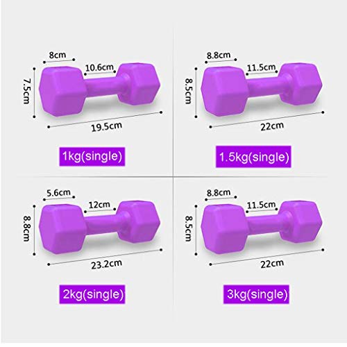 Guoqunshop Mancuernas/Ejercicio Fitness Workout Pesos Pesa de Neopreno Barra señoras de Fitness con Mancuernas, Juego de 2 Fitness con Mancuernas (Color : Purple, tamaño : 1kg×2pieces)