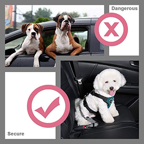 Nasjac Cinturón de Seguridad Doble para Perros, cinturón de Seguridad Doble para automóvil con Goma elástica y Rayas Reflectantes sin cinturón de Seguridad Ajustable