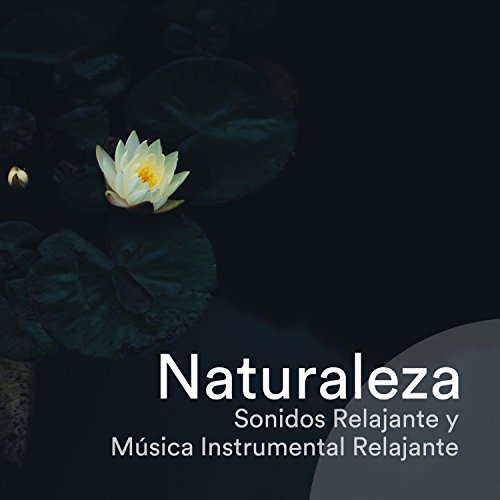 Naturaleza - Sonidos Relajante y Música Instrumental Relajante para Meditar, Soñar, Hacer Yoga & Pilates