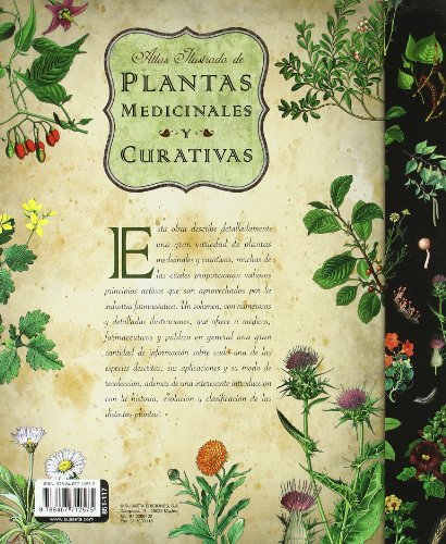 Plantas Medicinales Y Curativas (Atlas Ilustrado)