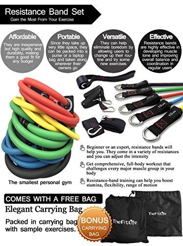 TheFitLife Bandas Elasticas Fitness Musculacion - Apilables hasta las 150lbs. Tubos de entrenamiento para deportes interiores o exteriores, fitness,fuerza y velocidad, gimnasio en casa o yoga