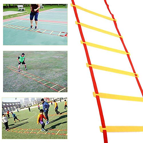 Xin La Velocidad de la Agilidad Escalera - Escalera Ritmo de Entrenamiento de Salto de la Aptitud Escalera Escalera celosía Taekwondo Fútbol Agilidad Ajustable (Size : 5M 10 Rung)