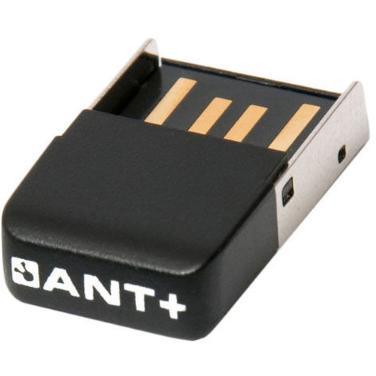 Lápiz USB LifeLine ANT+ - Accesorios para ciclocomputadores