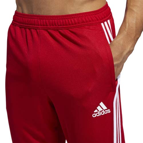 adidas Tiro19 - Pantalones de Entrenamiento para Hombre, Hombre, S1906GHTAN103, Power Red/White, Medium