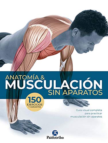 Anatomía & Musculación sin aparatos (Deportes)
