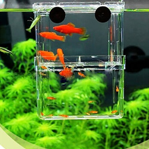 EFORCAR 1pcs multifuncional Fish Box Cría de aislamiento que cuelga del tanque de pescados del acuario incubadora de accesorios