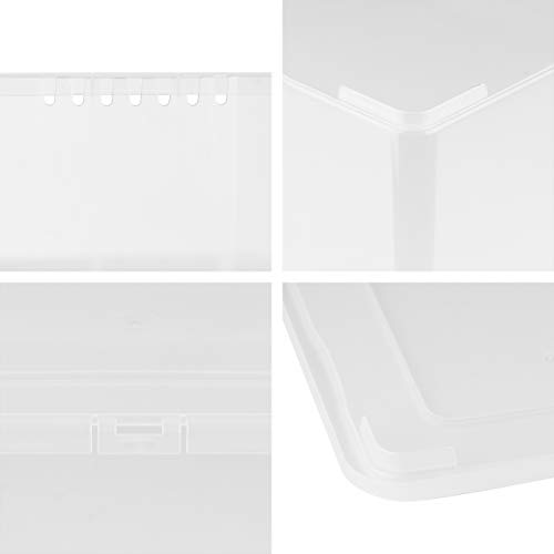 Grizzly 12 x Caja de Almacenaje con Tapa de 5 L - Cajón de Plástico Transparente Apilable - Caja Multiusos Organizador de Armarios para Ordenación de Ropa