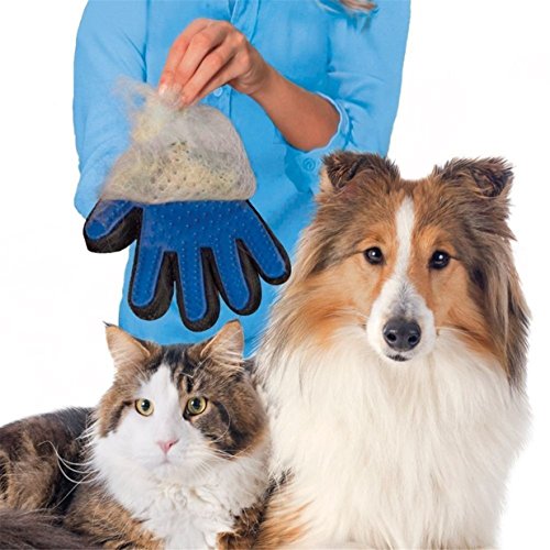 LALANG - Cepillo de Limpieza mágico para Mascotas, Color Azul