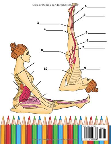 Libro Para Colorear de la Anatomía del Yoga Para Intermediarios: 50+ Ejercicios de Colores con Posturas de Yoga Para Intermediarios | El Regalo ... Instructores de Yoga, Maestros y Aficionados