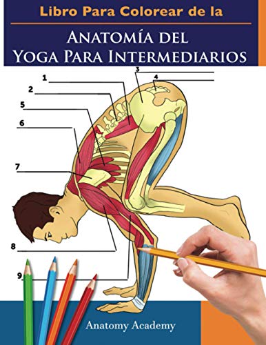 Libro Para Colorear de la Anatomía del Yoga Para Intermediarios: 50+ Ejercicios de Colores con Posturas de Yoga Para Intermediarios | El Regalo ... Instructores de Yoga, Maestros y Aficionados
