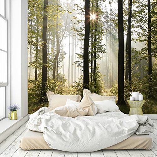 murimage Papel Pintado Bosque 274 x 254 cm Incluyendo Pegamento Fotomurales Vista 3D Madera árboles luz del Sol Living Sala