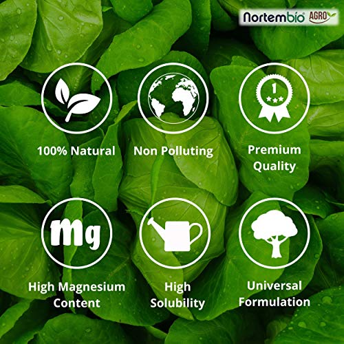 Nortembio Agro Sulfato de Magnesio Natural 1,2 Kg. Abono de Uso Universal. Favorece el Crecimiento de Cultivos, Jardines, Plantas de Interior y Exterior.