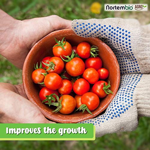 Nortembio Agro Sulfato de Magnesio Natural 1,2 Kg. Abono de Uso Universal. Favorece el Crecimiento de Cultivos, Jardines, Plantas de Interior y Exterior.