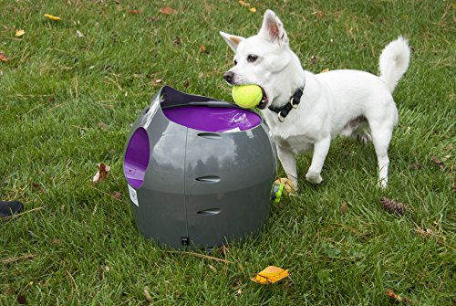 PetSafe: Lanzador automático de Pelotas de Tenis para Perros, Juguete Interactivo para Perros, Entrenamiento de Juego en Interiores o Exteriores, Configuración múltiple, Resistente al Agua