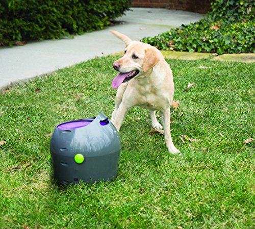 PetSafe: Lanzador automático de Pelotas de Tenis para Perros, Juguete Interactivo para Perros, Entrenamiento de Juego en Interiores o Exteriores, Configuración múltiple, Resistente al Agua