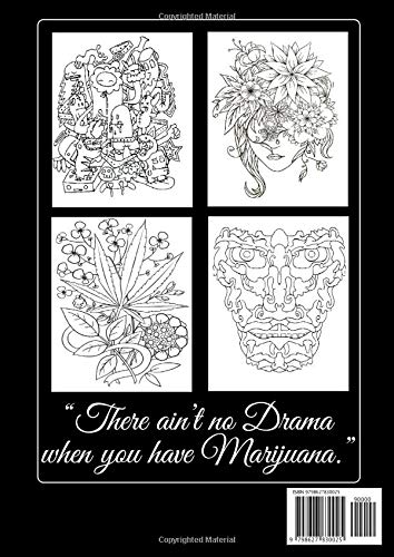 Stoner Coloring Book: TAKE A TRIP TO ANOTHER DIMENSION.: The Stoner's Coloring Book Take A Chill Break From Daily Routine Stress And Anxiety.