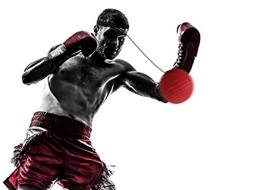 WorthWhile - Banda para la cabeza con bola de reflejo de boxeo, mejora de la velocidad de combate, pelotas de golpe Muay Tai MMA y accesorios de equipamiento de ejercicio, con bolsa pequeña