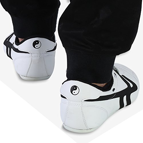 Alomejor Zapatos Deportivos de Taekwondo Zapatilla Ligera de Artes Marciales para Taekwondo, Boxeo, Karate, Kung Fu, Taichi(40)