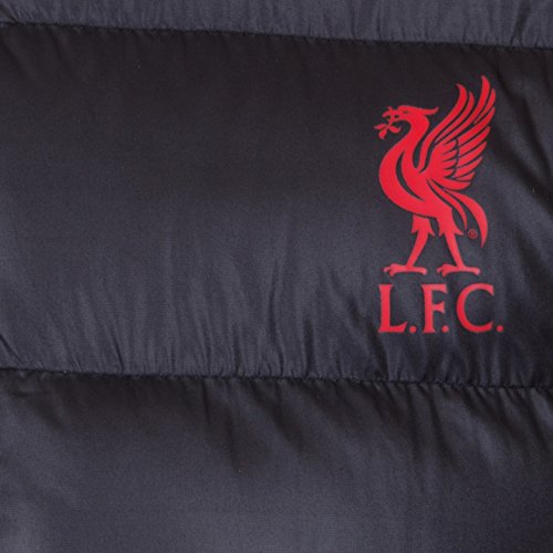Liverpool FC - Plumífero acolchado oficial con capucha - Para hombre - Negro - M