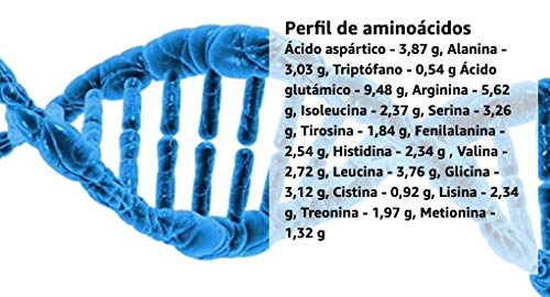 Samskara Proteína de Cañamo (50%) BIO, cultivo Ecológica origen UE, cruda - Proteina vegetal Alcalino