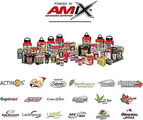 AMIX - Aminoácido en Polvo Muscle Amino Power - Suplemento Alimenticio que Aumenta la Fuerza y la Resistencia Muscular - Sabor Frutas del Bosque - 344 g