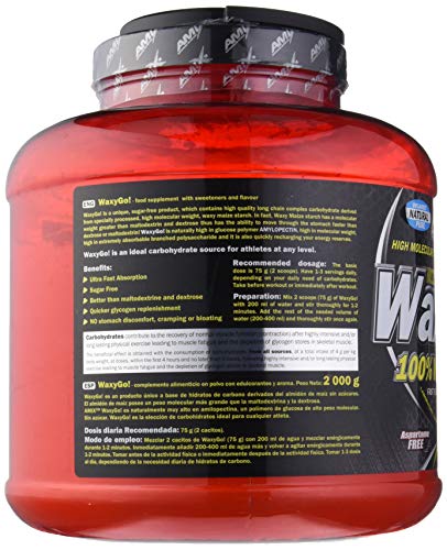 AMIX - Complemento Alimenticio WAXYGO! - Proteína en Polvo para Ganar Masa Muscular - Fórmula con Hidratos de Carbono - Recuperador Muscular - Sabor Neutro - Bote de 2kg