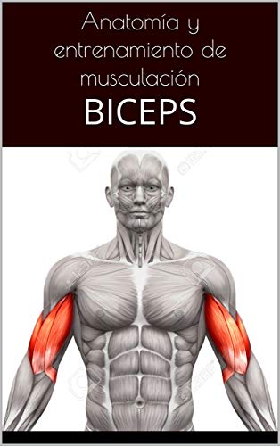 Anatomía, biomecánica y entrenamiento de musculación: BICEPS (Anatomía y entrenamiento nº 2)