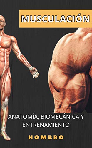 Anatomía Y musculación. Hombros: Conocimientos para un cuerpo superior. (Anatomía y entrenamiento nº 4)