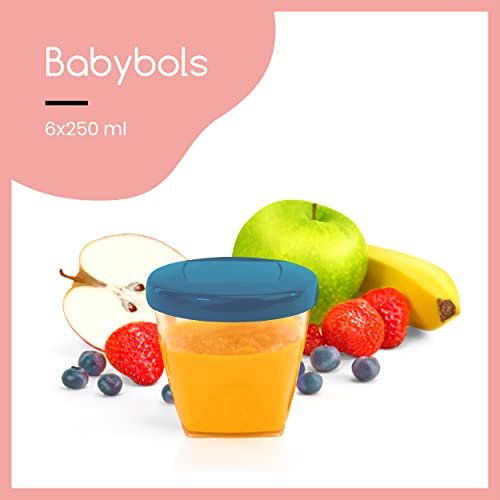 Babymoov Babybols - Pack de 6 contenedores de conservación, 250 ml