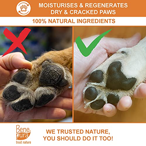 Bene Pura Trust Nature Bálsamo para Mascotas 100% Natural Regenerador - para Patas, Nariz y Piel - para Perros y Gatos 40ml