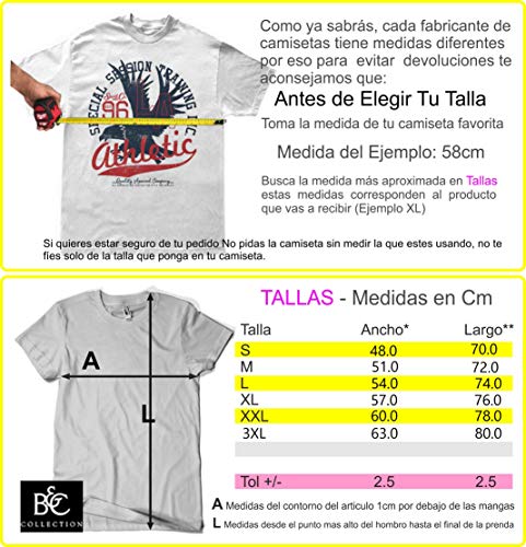 Camisetas La Colmena, 160-Camiseta Master Roshi Gym