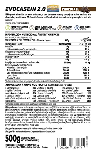 Caseína Micelar de HSN Evocasein 2.0 | Chocolate 500 g = 17 Tomas por Envase | Proteína Lenta Digestión para Antes de Dormir | Recuperador Muscular Nocturno | No-GMO, Vegetariana, Sin Gluten