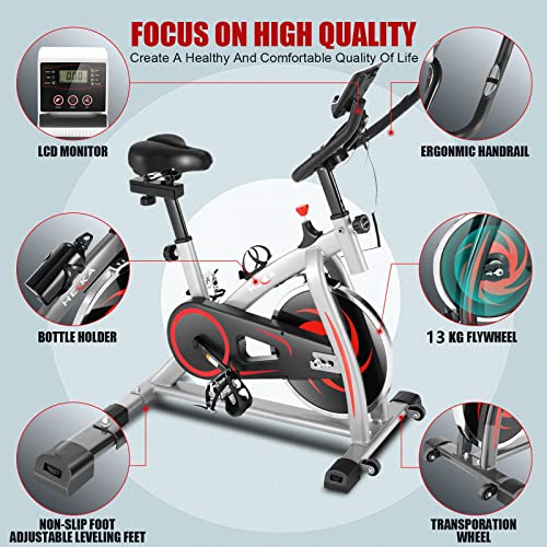 HEKA Bicicleta Estática de Casa para Entrenamiento Indoor, Bicicleta Spinning Profesional, Resistencia Variable, Altura Ajustable, Pantalla LCD (Tener APP, Gris)