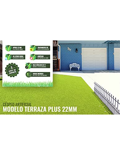 Jardin202 - Césped Artificial Terraza Plus 22mm - Rollo | Ideal para terraza y jardín. Fácil Instalación | Rollo: 2x10 Metros