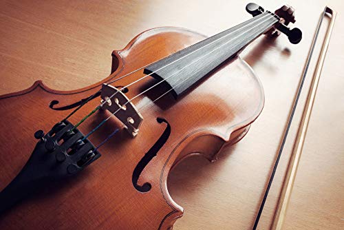 Juego de Cuerdas para Violín (G-D-A-E), Fansjoy Universal Núcleo de Acero Cuerdas para Violín 4/4, 3/4, 1/2, 1/4
