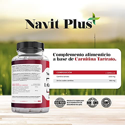L Carnitina Cápsulas | Quemagrasas potente, perdida de peso y tonificación | CN Farmacia 194556.3 | Aumento de energía, rendimiento deportivo y recuperación post entreno.