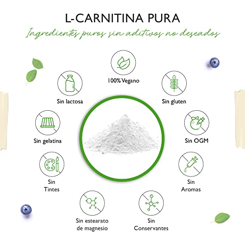 L-Carnitina Pura - 300 g de polvo puro sin aditivos - 100% L-Carnitina Tartrato - 100 raciones con 3000 mg de Carnitina en polvo - Vegano - Alta dosis
