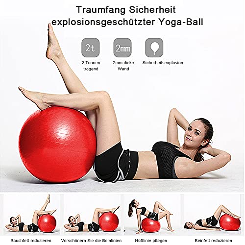 Liujiami Balones de Ejercicio Pelota de Gimnasia Yoga Pilates con Bomba Oficina Equilibrio Silla Pelota de Estabilidad Pelota de Maternidad 45/55/65/75/85cm