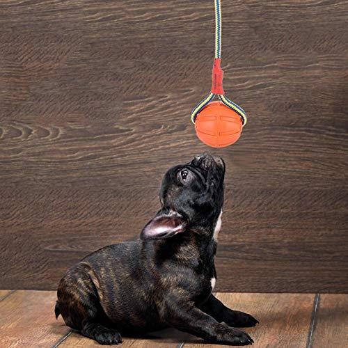Pelota de Cuerda para Mascotas, 6 cm EVA portátil Adiestramiento de Perro Mascota Masticar Juguetes interactivos Resistentes a mordeduras Cuerda portadora Bola de Goma Indestructible(Naranja)