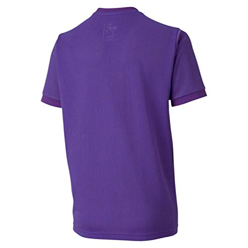 PUMA teamGOAL 23 Jersey jr Camiseta, Unisex niños, Prism Violet/Tillandsia Purple, 152