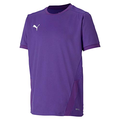 PUMA teamGOAL 23 Jersey jr Camiseta, Unisex niños, Prism Violet/Tillandsia Purple, 152
