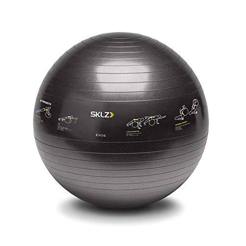 SKLZ Trainerball Sport Performance - Pelota fitness con ejercicios, talla 65 cm