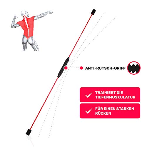 swingfit - Barra oscilante con práctica Bolsa y Espalda, para Musculatura Profunda y rehabilitación