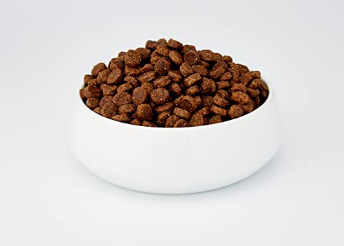Venandi Animal - pienso seco para Gatos - Cordero como pienso seco - Completamente Libre de Cereales - 1,5 kg