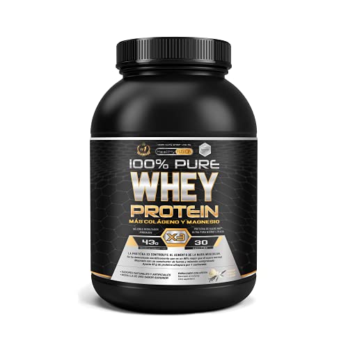 Whey Protein | Proteina whey pura con colágeno + magnesio | Mejora tus entrenamientos | Protege y aumenta la masa muscular | 1000g de proteína (Vainilla)