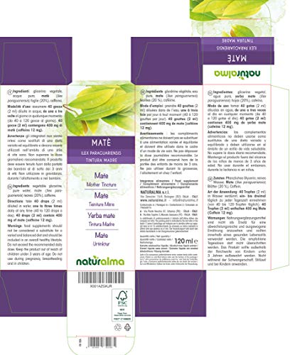 Yerba mate (Ilex paraguariensis) hojas Tintura Madre sin alcohol Naturalma | Extracto líquido gotas 120 ml | Complemento alimenticio | Vegano