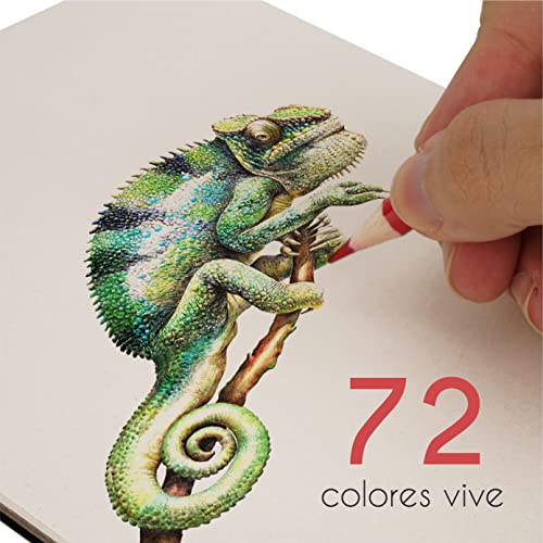 72 Lápices de Colores (Numerado) con Caja de Metal de Zenacolor - 72 Colores Únicos para Libro de Colorear para Adultos - Fácil Acceso con 3 Bandejas - Regalo Ideal para Artistas y Adultos